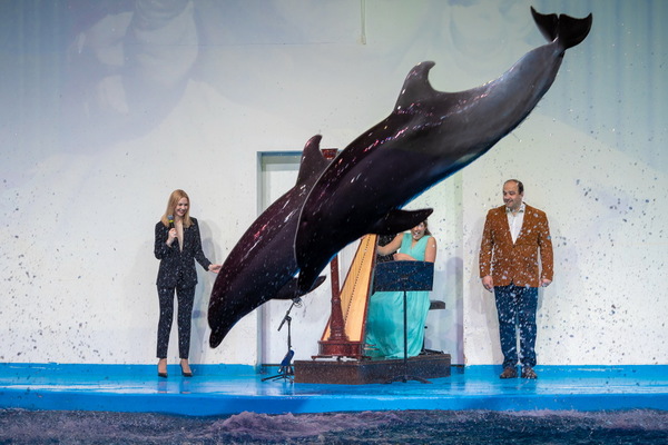 В Екатеринбурге полярные киты и дельфины стали гостями арфового концерта Баха  - Фото 1
