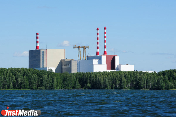 В Японии из-за мощного землетрясения объявили об угрозе цунами - Фото 1