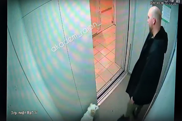 В Академическом полиция ищет мужчину, который жестоко избил в лифте свою собаку - Фото 1