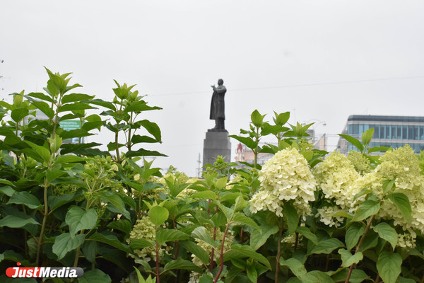 В 2022 году площадь 1905 года в Екатеринбурге станет зеленой с 1 августа по 5 сентября - Фото 1
