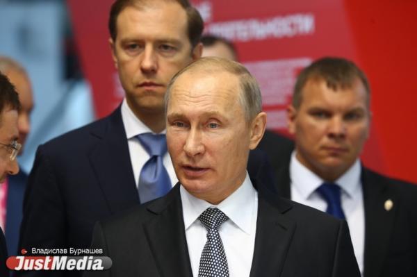 Владимир Путин подписал указ об ответных санкциях - Фото 1