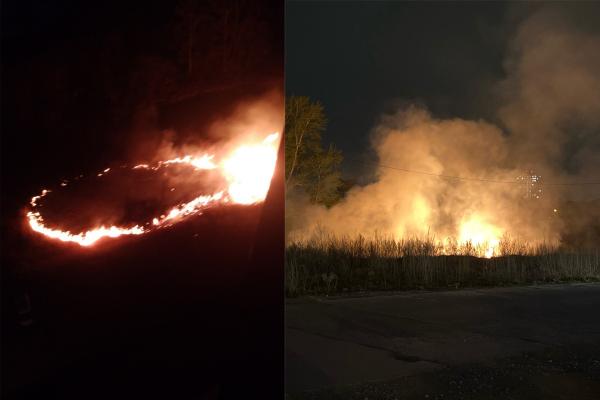 Ночью на Уктусе горела сухая трава - Фото 1