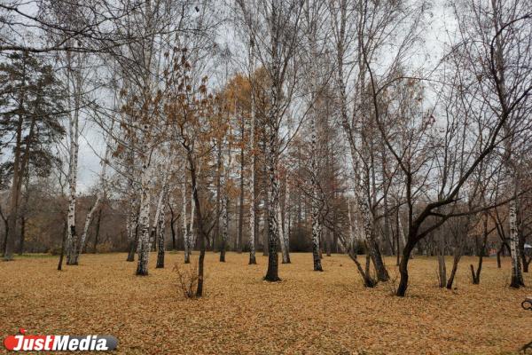 Более 300 тысяч свердловчан проголосовали за объекты благоустройства - Фото 1
