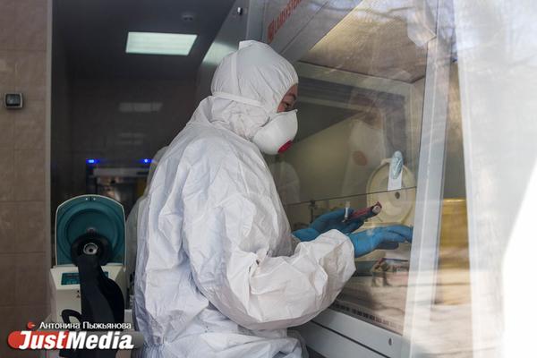 Ирина Яровая сообщила о биолаборатории в Мариуполе, где ставили опыты на живых людях - Фото 1