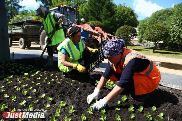 До подведения итогов голосования за благоустройство свердловских парков осталось 10 дней - Фото 1
