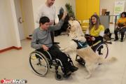 В Свердловской области построят два центра реабилитации детей-инвалидов