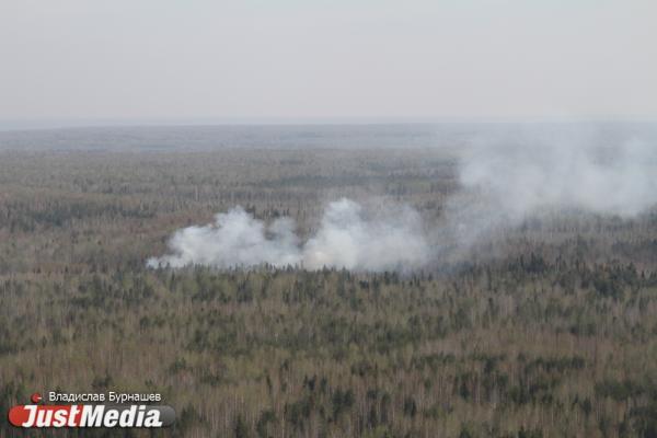 В Серовском лесничестве парашютисты авиалесоохраны ликвидируют природный пожар площадью 7 гектаров - Фото 1