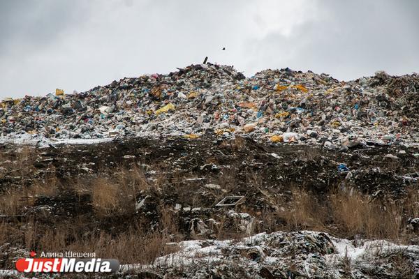 Реконструкция полигонов твердых бытовых отходов в Нижнем Тагиле продлится до 2030 года - Фото 1