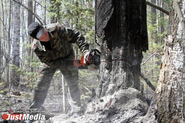 Авиалесоохрана за сутки сократила площадь лесных пожаров в Свердловской области в 20 раз - Фото 1
