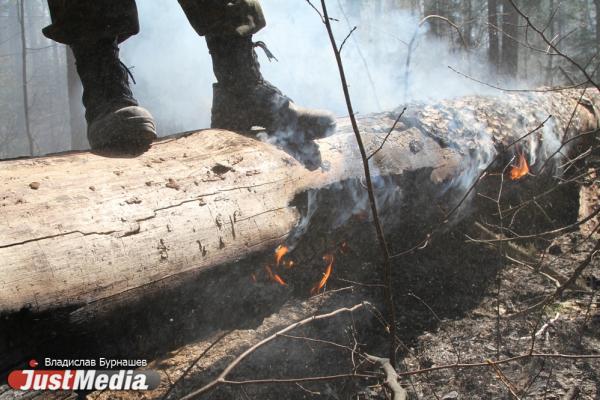 Количество лесных пожаров в Свердловской области за сутки сократилась вдвое - Фото 1