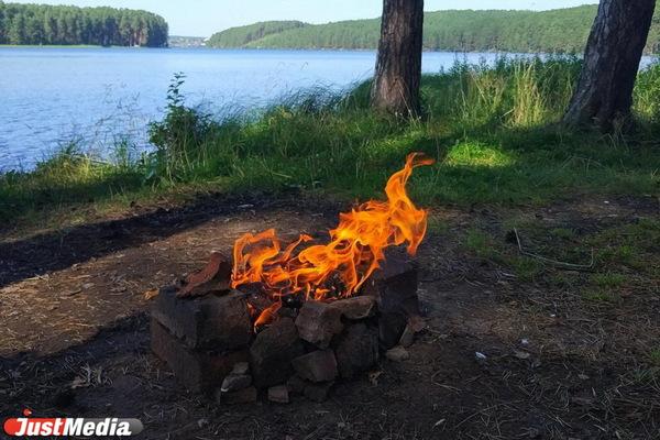 Алексей Орлов ввел особый противопожарный режим на территории Екатеринбурга  - Фото 1