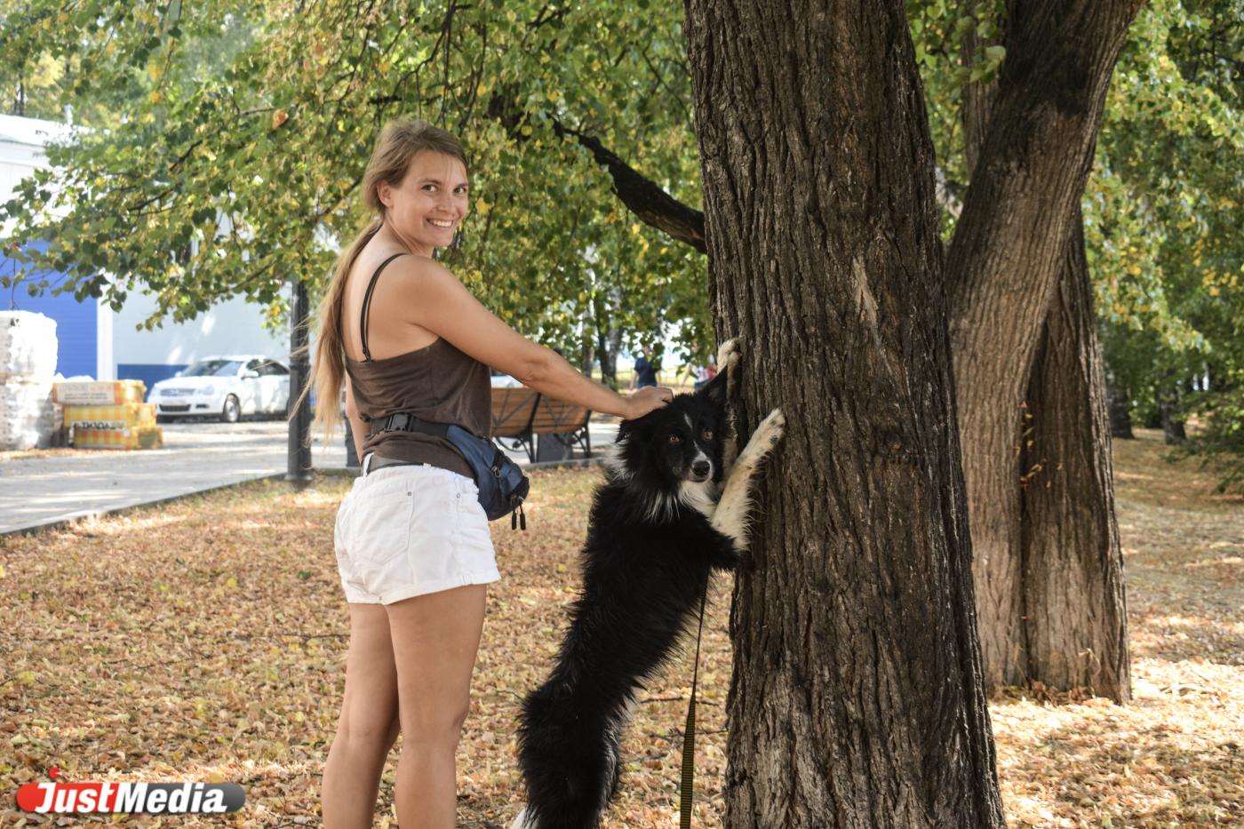 Татьяна Попова и Кыш: «Вот и листья незаметно пожелтели, а нам они только в радость». В Екатеринбурге +28 градусов - Фото 1