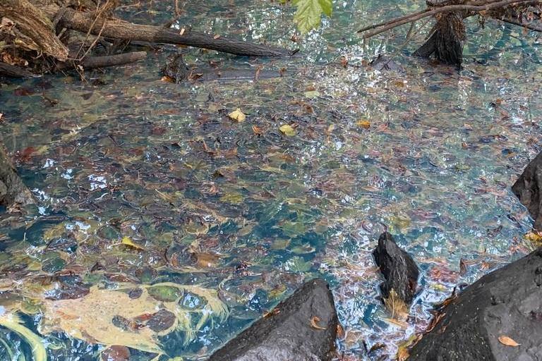 Под Невьянском произошло загрязнение реки разлитым дизелем - Фото 1