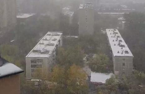 В Сысерти действует режим ЧС из-за дымящегося торфяника - Фото 1