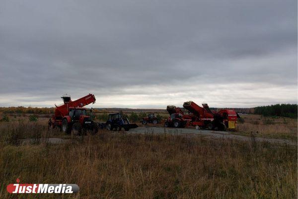 Свердловские аграрии боятся, что останутся без работников из-за мобилизации - Фото 1