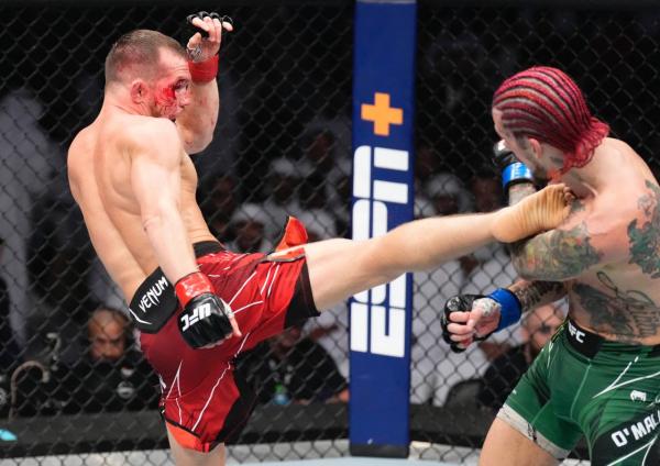 Окровавленный Петр Ян проиграл Шону О’Мэлли - Фото 1