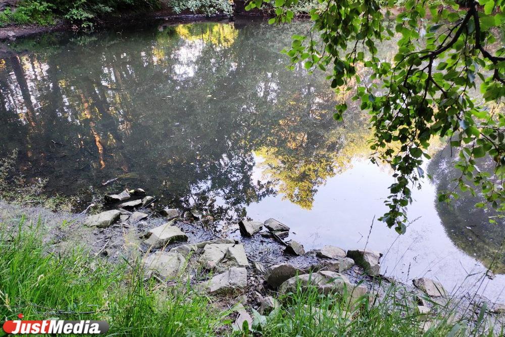 В Санкт-Петербурге коммунальщики нашли на дне пруда сумку с женскими ногами - Фото 1