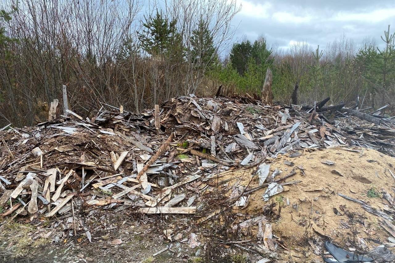 Свердловские экологи завалили природоохранную прокуратуру жалобами на несанкционированные свалки - Фото 1