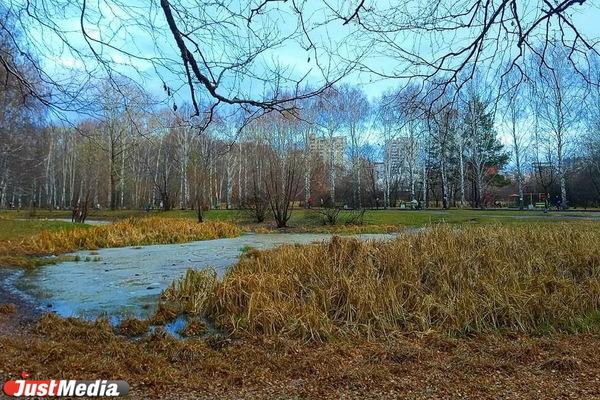 В голосовании для благоустройства в Екатеринбурге в 2024 году поучаствуют 4 парка  - Фото 1