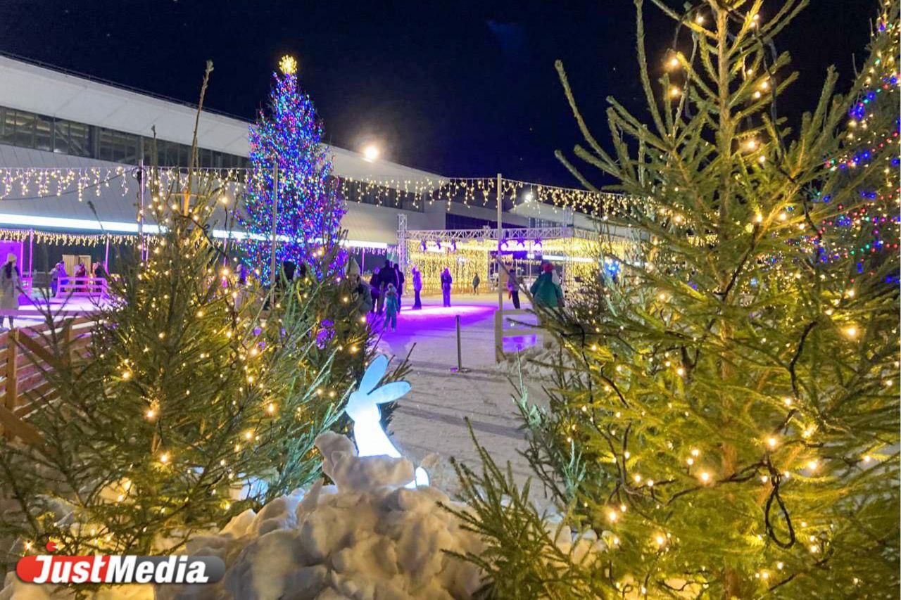 «Самое время подвести итоги года». В Екатеринбурге -12 градусов - Фото 1