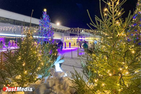 «Самое время подвести итоги года». В Екатеринбурге -12 градусов