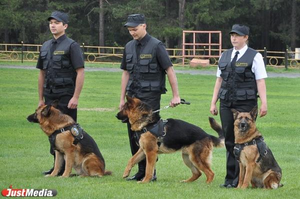 Какие существуют виды услуг охраны?  - Фото 1