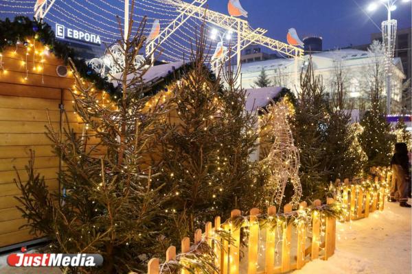 «Радостных выходных!». В Екатеринбурге -8 градусов