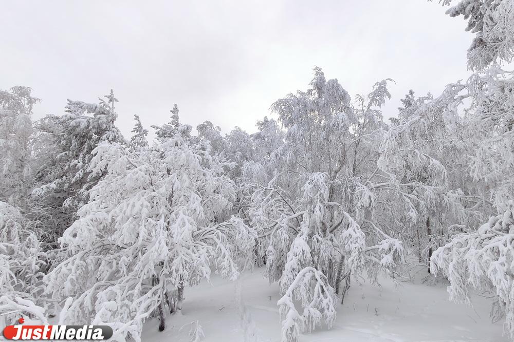 Евгений Куйвашев начал подготовку к пожароопасному сезону-2023 - Фото 1