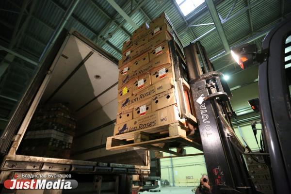 В Алапаевске построят уникальный завод по производству мелющих стальных шаров - Фото 1