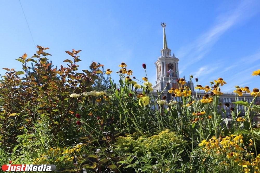 Центр Екатеринбурга вновь станет зеленым с 11 по 20 августа 2023 года - Фото 1