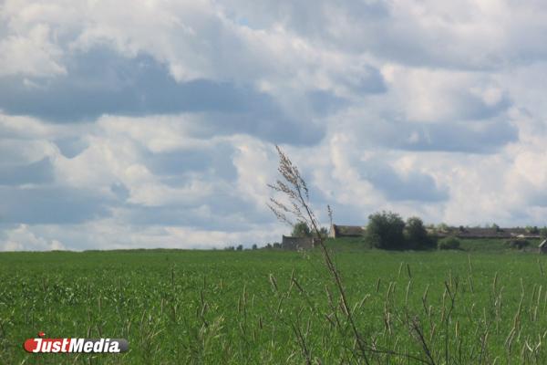 К чему снится поле