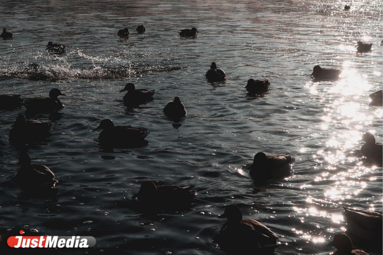«В городе опять пасмурно и холодно». В Екатеринбурге -12 градусов - Фото 1