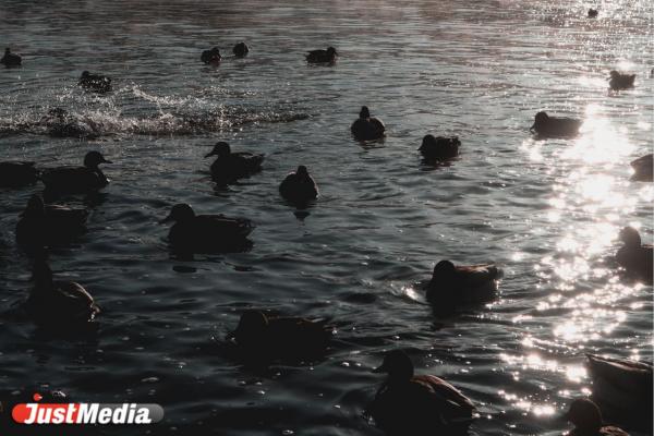 «В городе опять пасмурно и холодно». В Екатеринбурге -12 градусов