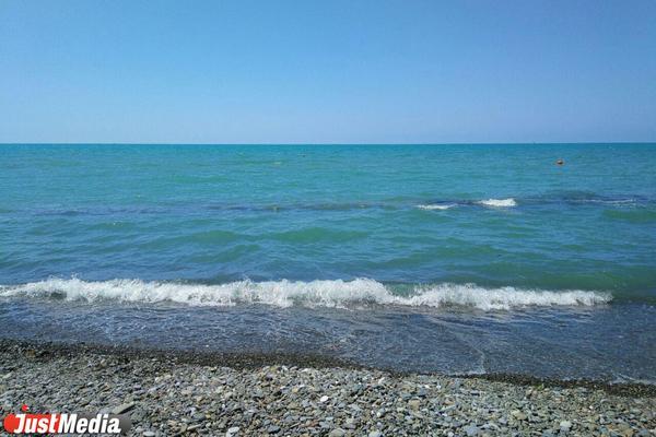 В Новой Каледонии акула укусила туриста - Фото 1