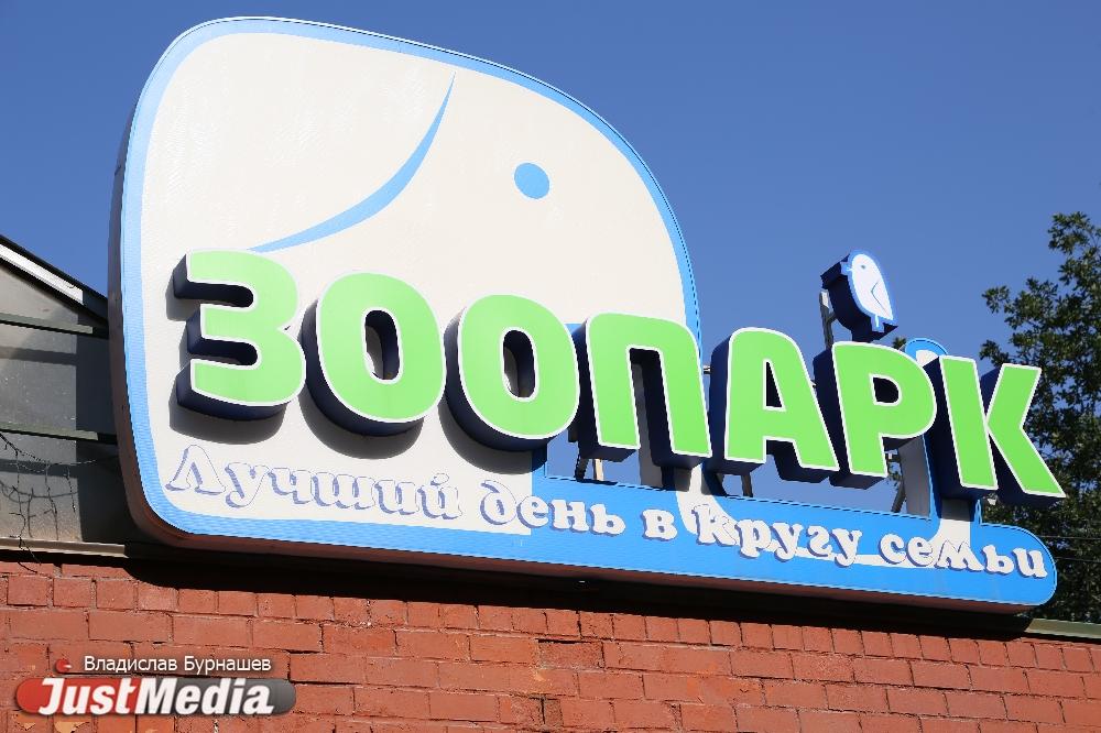 В Екатеринбургском зоопарке выберут самую красивую обитательницу - Фото 1