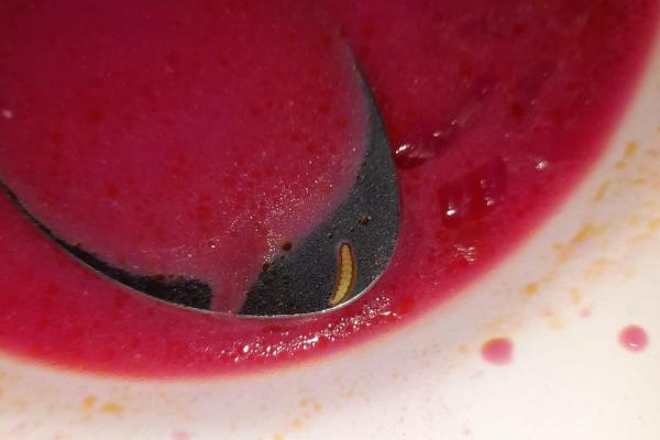 В Реже ученик школы №10 утверждает, что нашел в борще червя - Фото 1