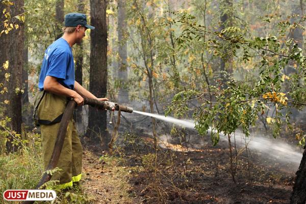 Уральские спасатели локализовали лесной пожар на Флюсе - Фото 1