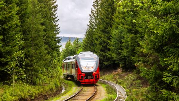 Более 13 тысяч человек перевезла СвЖД за сезон пригородными туристическими поездами - Фото 1