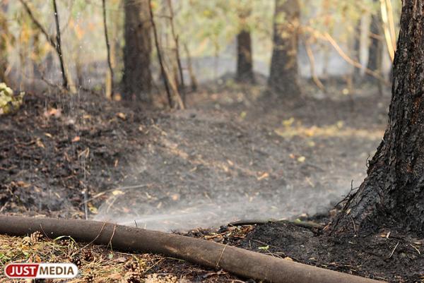 В Свердловской области действует 16 лесных пожаров - Фото 1
