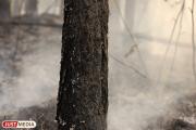 Торфяной пожар у села Шогринское ликвидируют по «зимней» технологии