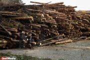 В США работник упал в измельчитель древесины