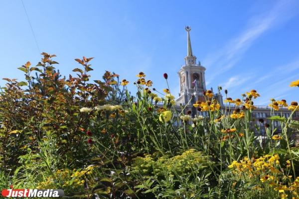Центр Екатеринбурга вновь станет зеленым с 11 по 20 августа 2023 года - Фото 1