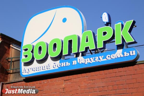 В Екатеринбургском зоопарке к весне может появиться новый питомец - Фото 1