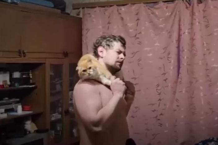 В Реже полицейские забрали у блогера кота, которого тот заставлял качать пресс и приседать - Фото 1