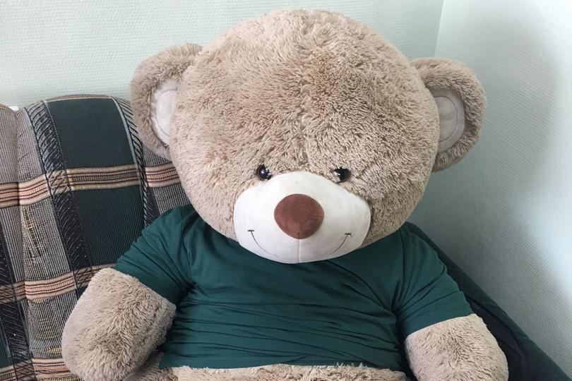 В аэропорту «Кольцово» предотвратили кражу большого плюшевого медведя - Фото 1