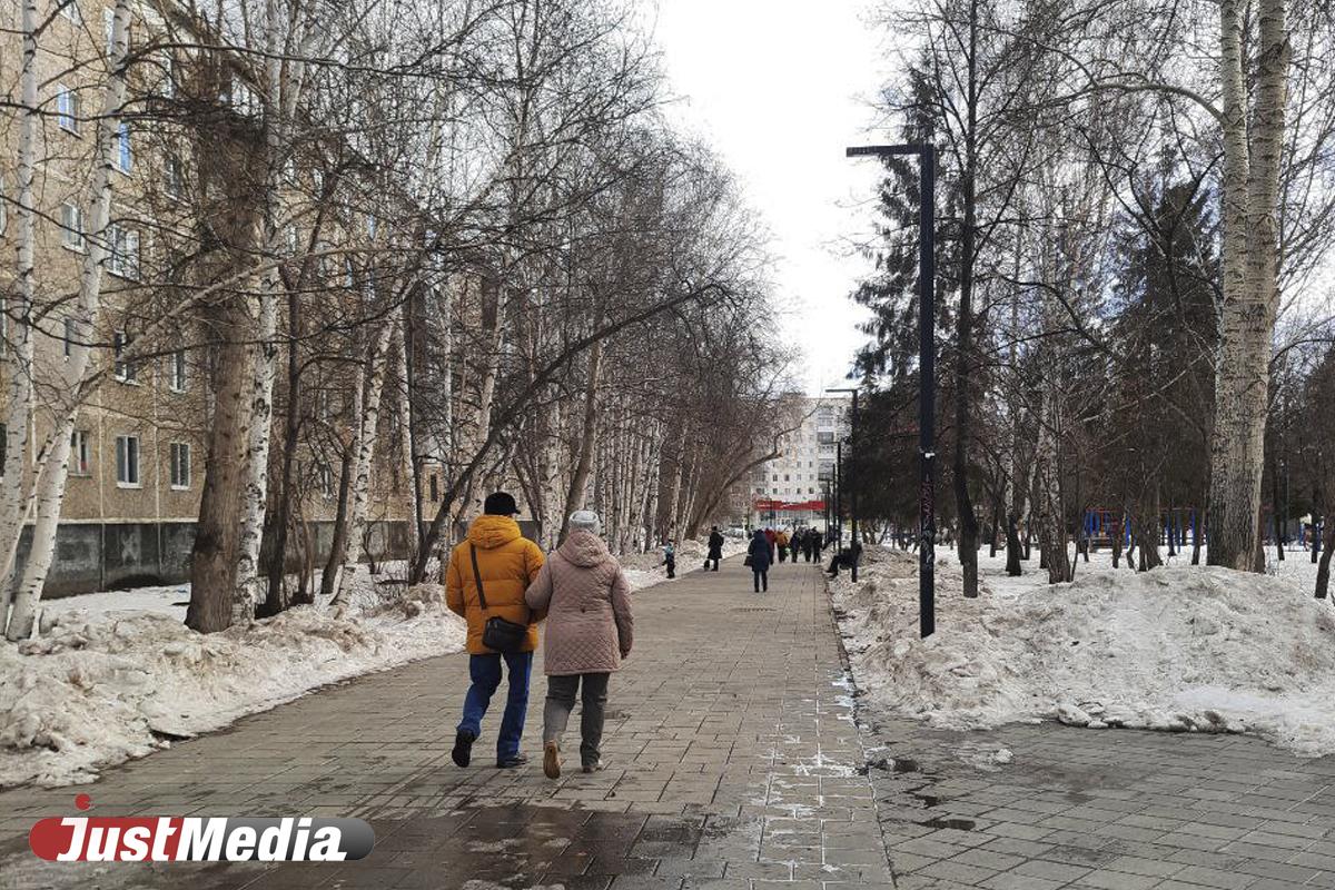 Наслаждаемся щебетом весенних птиц. В Екатеринбурге +1,+3, переменная облачность - Фото 1