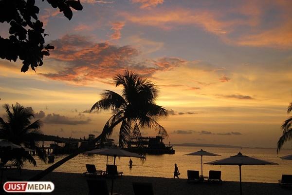 В Таиланде спасли двух россиян, которые заблудились в джунглях - Фото 1