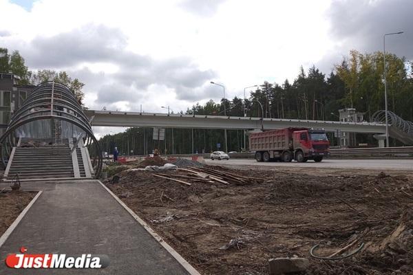 К чему снится земля - толкование значения сна?  - Фото 1