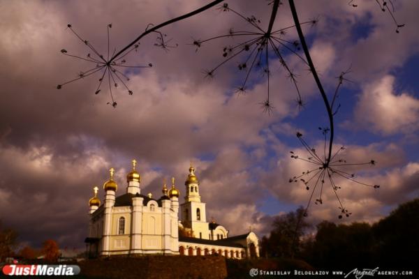 Мэрия Верхотурья заплатит школьнице, покусанной бездомной собакой