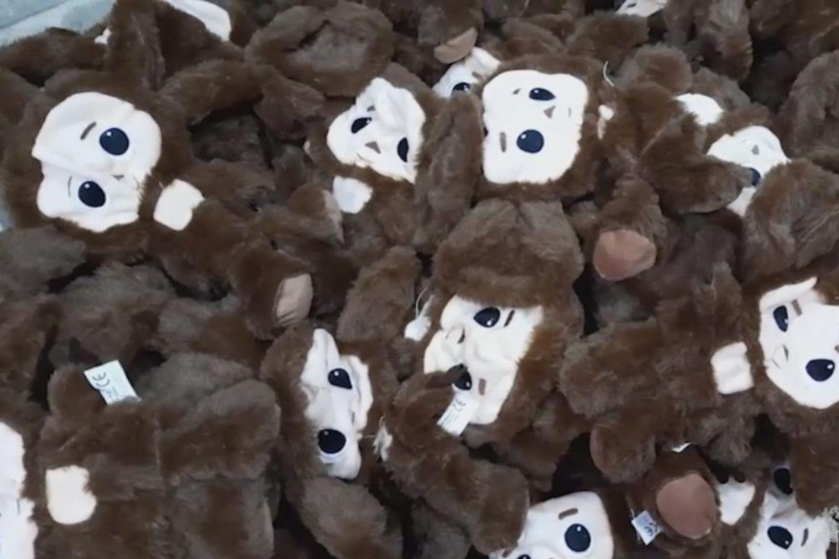 Из Китая в Россию пытались нелегально ввезти почти 1200 Чебурашек - Фото 1